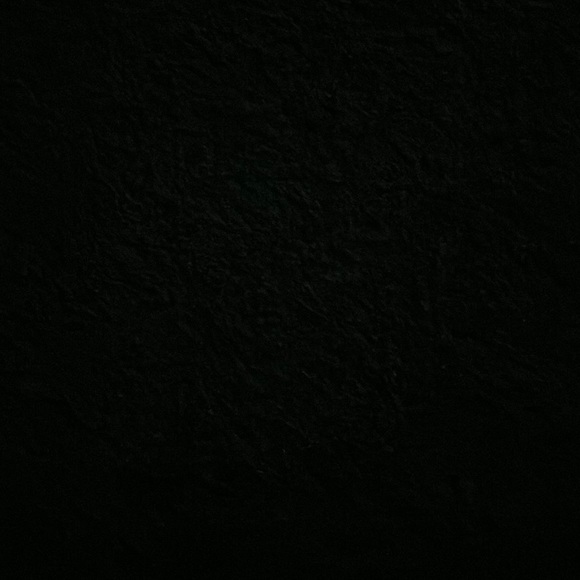 Meet your Posher, Steve - Picture 1 of 1